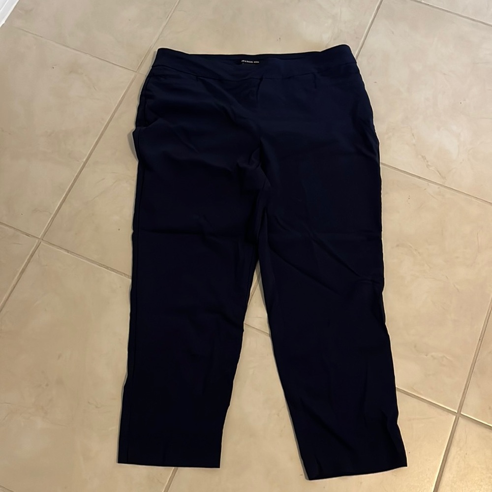 Zac & Rachel Navy Ankle Pants